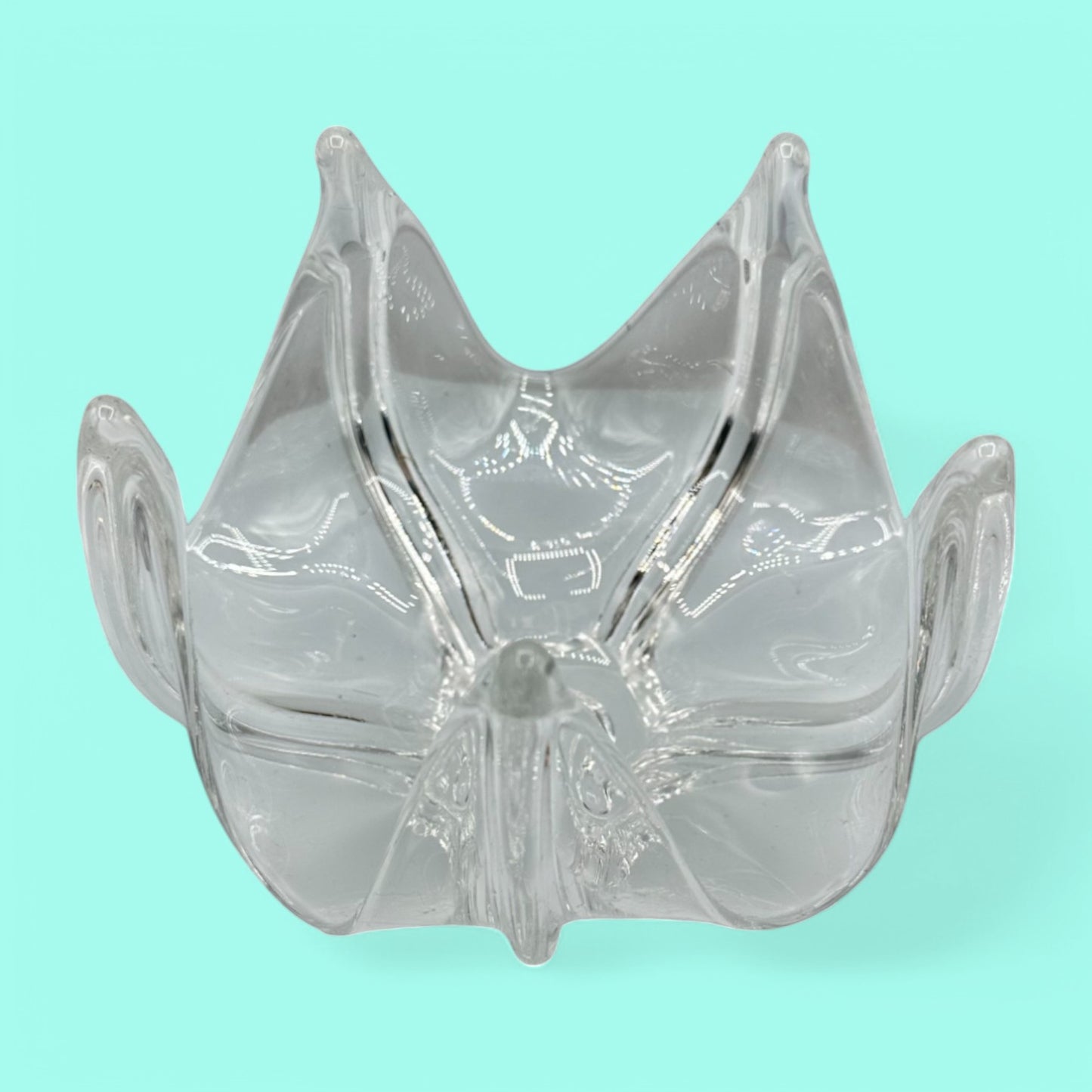 Bohemian Clear Glass Five Finger Dish/Bowl for Unique Display