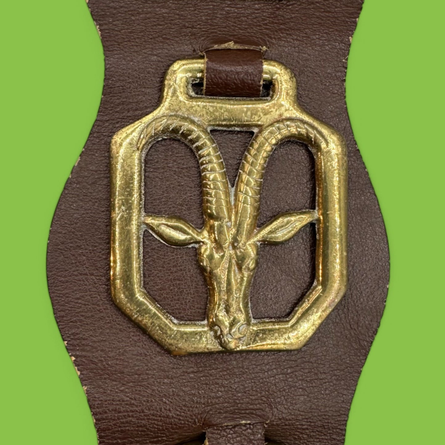 Brass horse adornment on brown leather strap featuring African animals like antelope and elephant. Horse, brass, African animals.