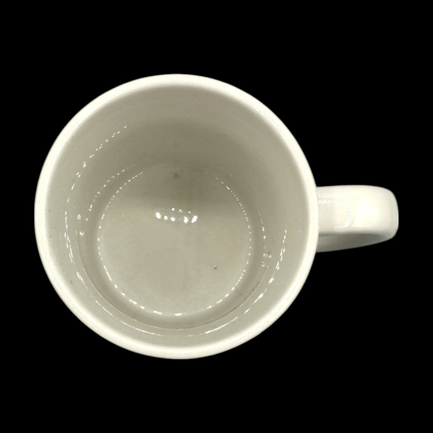 Holland America Line Starbucks Replacement Mug