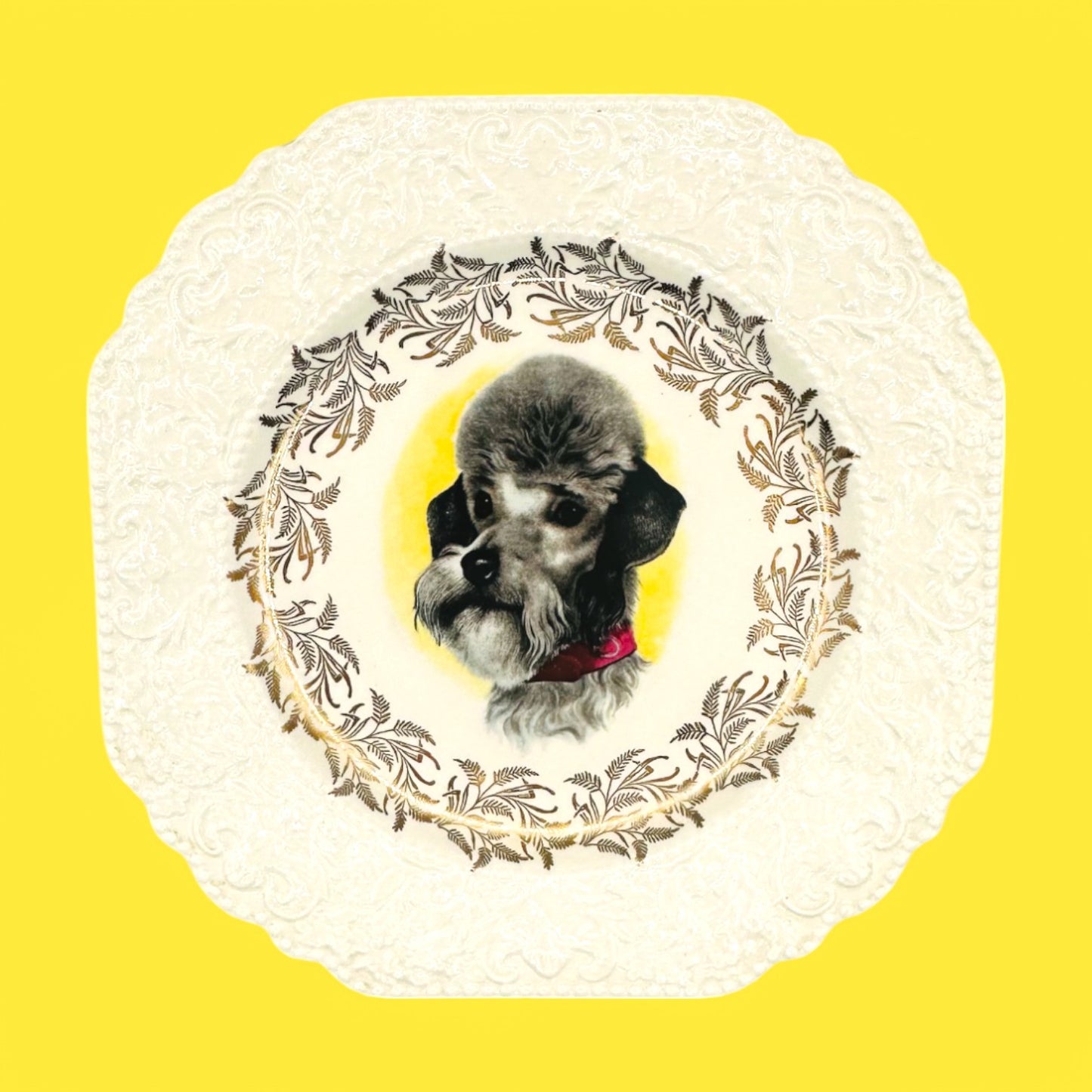 Vintage Dog Breed Plates featuring Lord Nelson England Poodle, Schnauzer, Jack Russel, and Springer Spaniel designs.