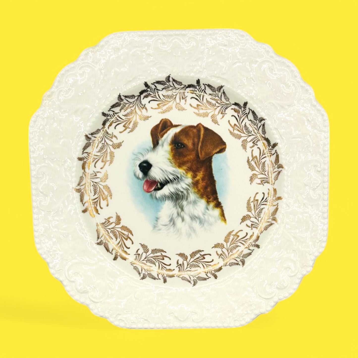 Vintage Dog Breed Plates featuring Lord Nelson England designs of Poodle, Schnauzer, Jack Russel, and Springer Spaniel.