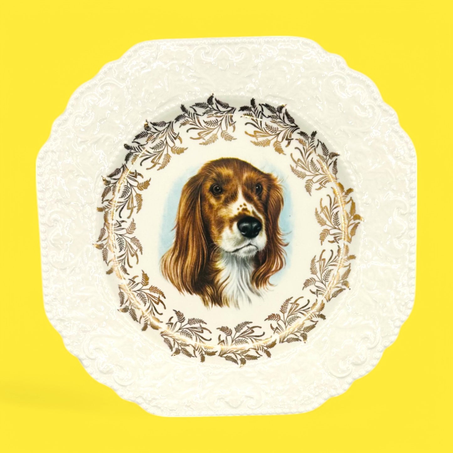 Vintage Dog Breed Plates featuring Lord Nelson England Poodle, Schnauzer, Jack Russel, Springer Spaniel designs.