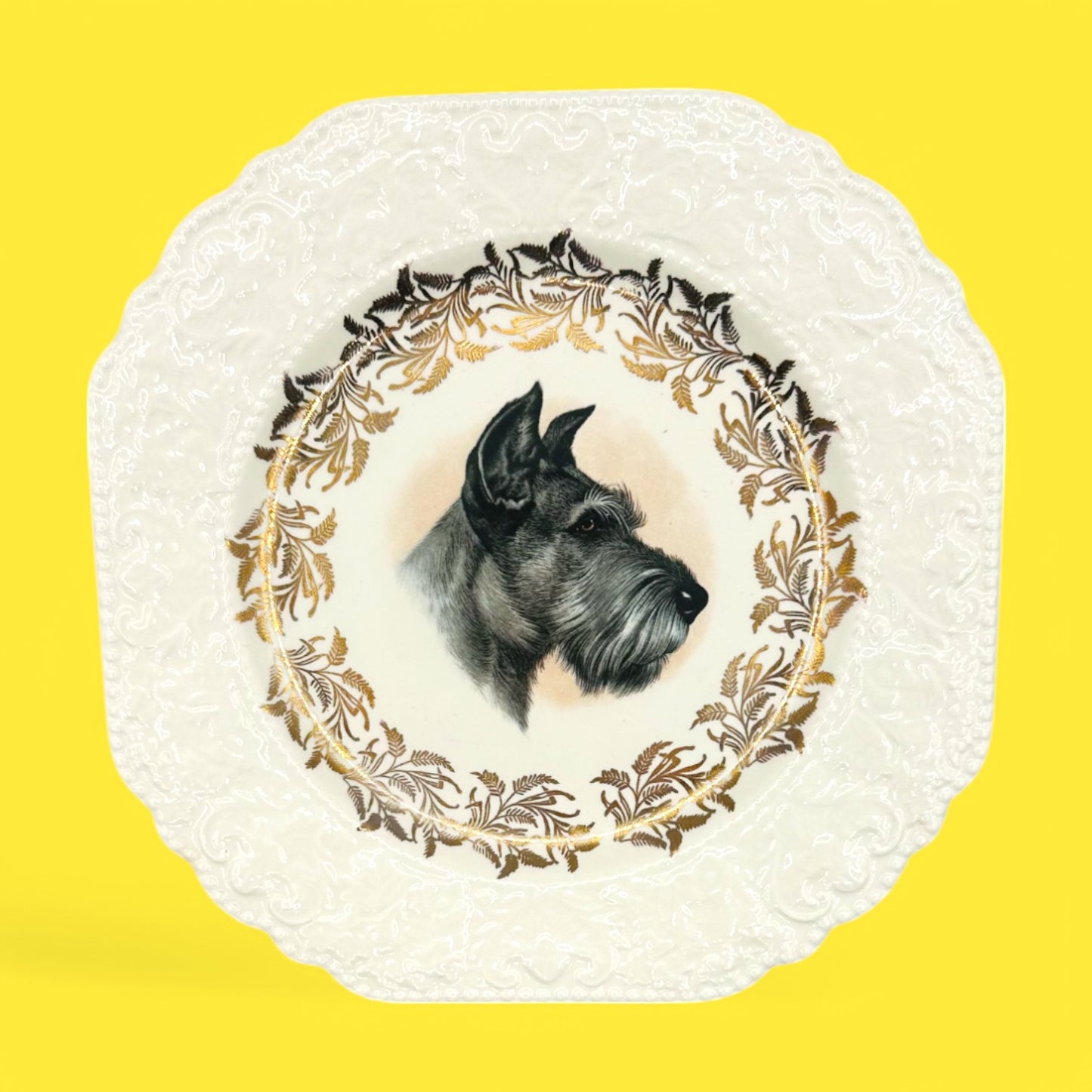Vintage Dog Breed Plates featuring Lord Nelson England Schnauzer, perfect for collectors and dog lovers alike.