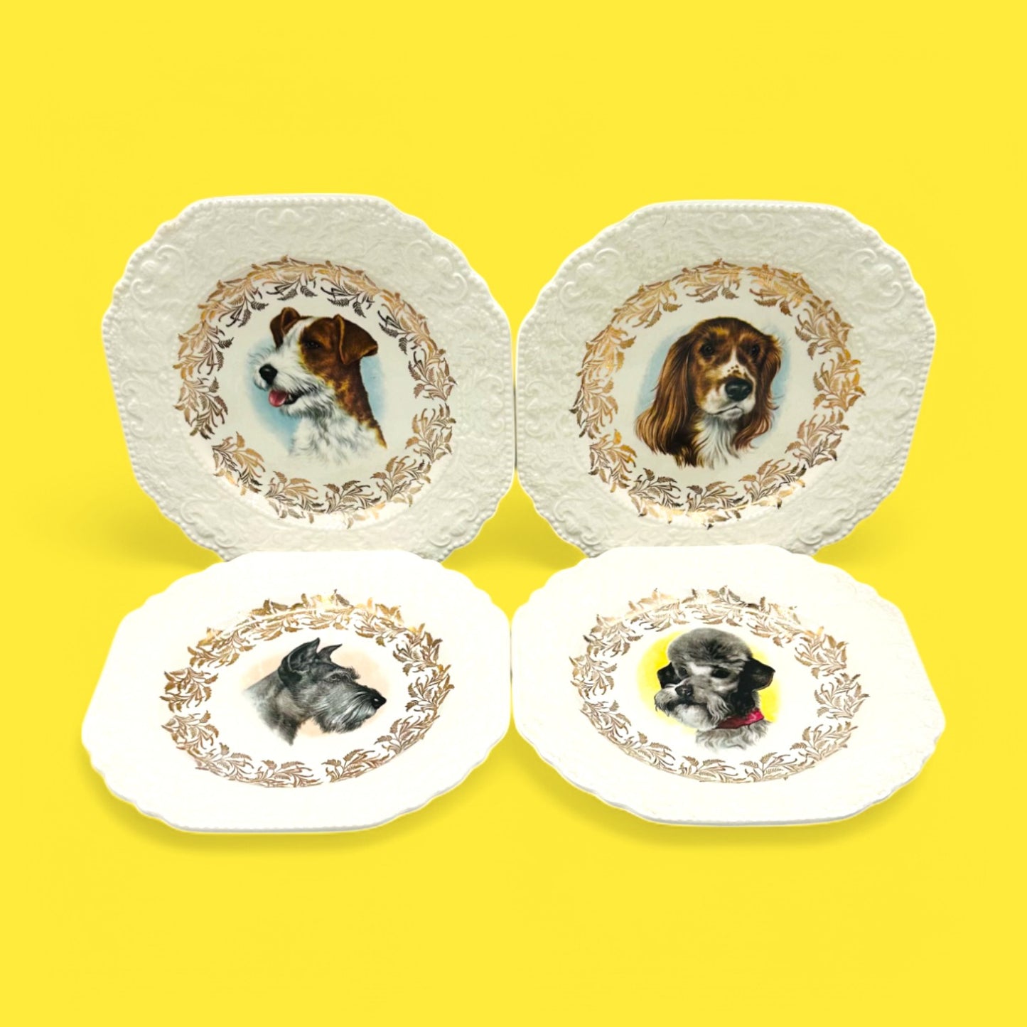 Vintage Dog Breed Plates featuring Poodle, Schnauzer, Jack Russel, and Springer Spaniel by Lord Nelson England.