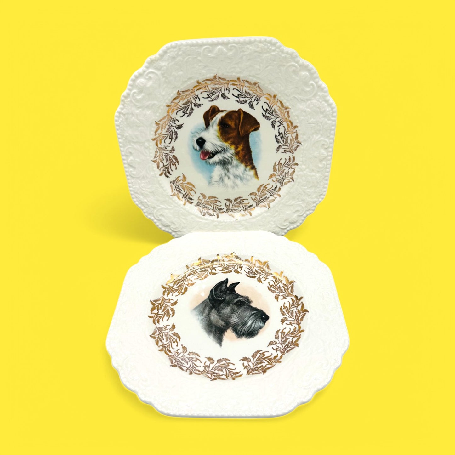 Vintage Dog Breed Plates featuring Lord Nelson England Poodle, Schnauzer, Jack Russel, and Springer Spaniel portraits.