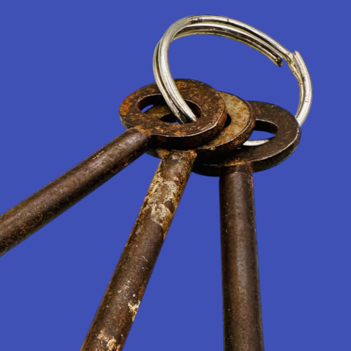 Antique Skeleton Key Ring With Three Keys – 1800s Oddity