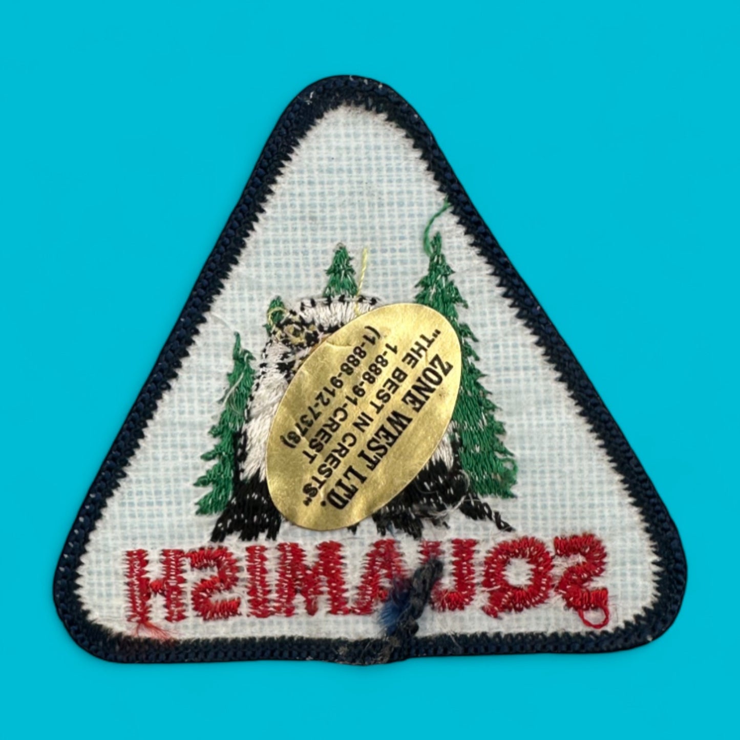 Squamish BC Canada Eagle Embroidered Patch – Vintage Triangle Badge