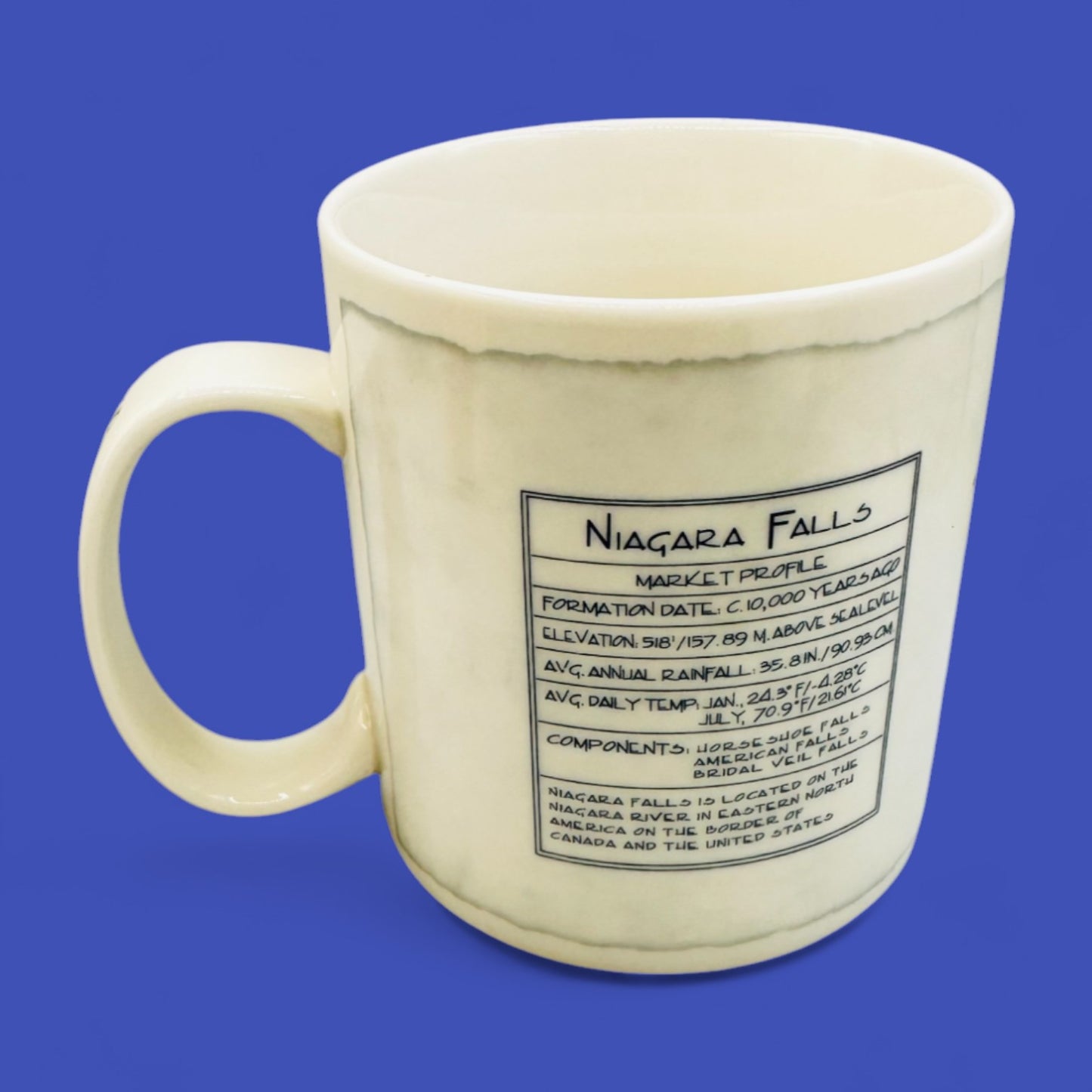 Starbucks Niagara Falls Architects Series Mug 2008 – Replacement Mug