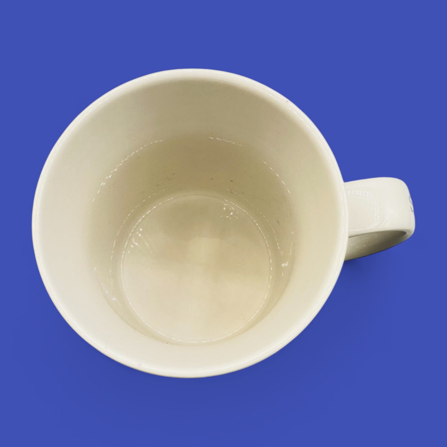 Starbucks Niagara Falls Architects Series Mug 2008 – Replacement Mug