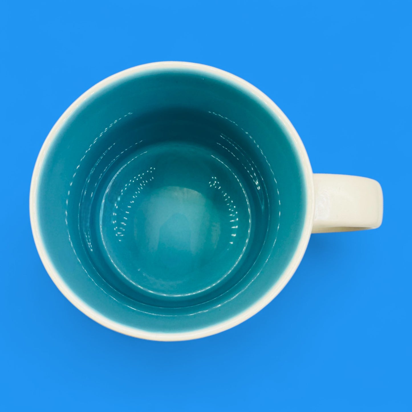 Starbucks Oregon “You Are Here Collection” – Collectible Replacement Mug