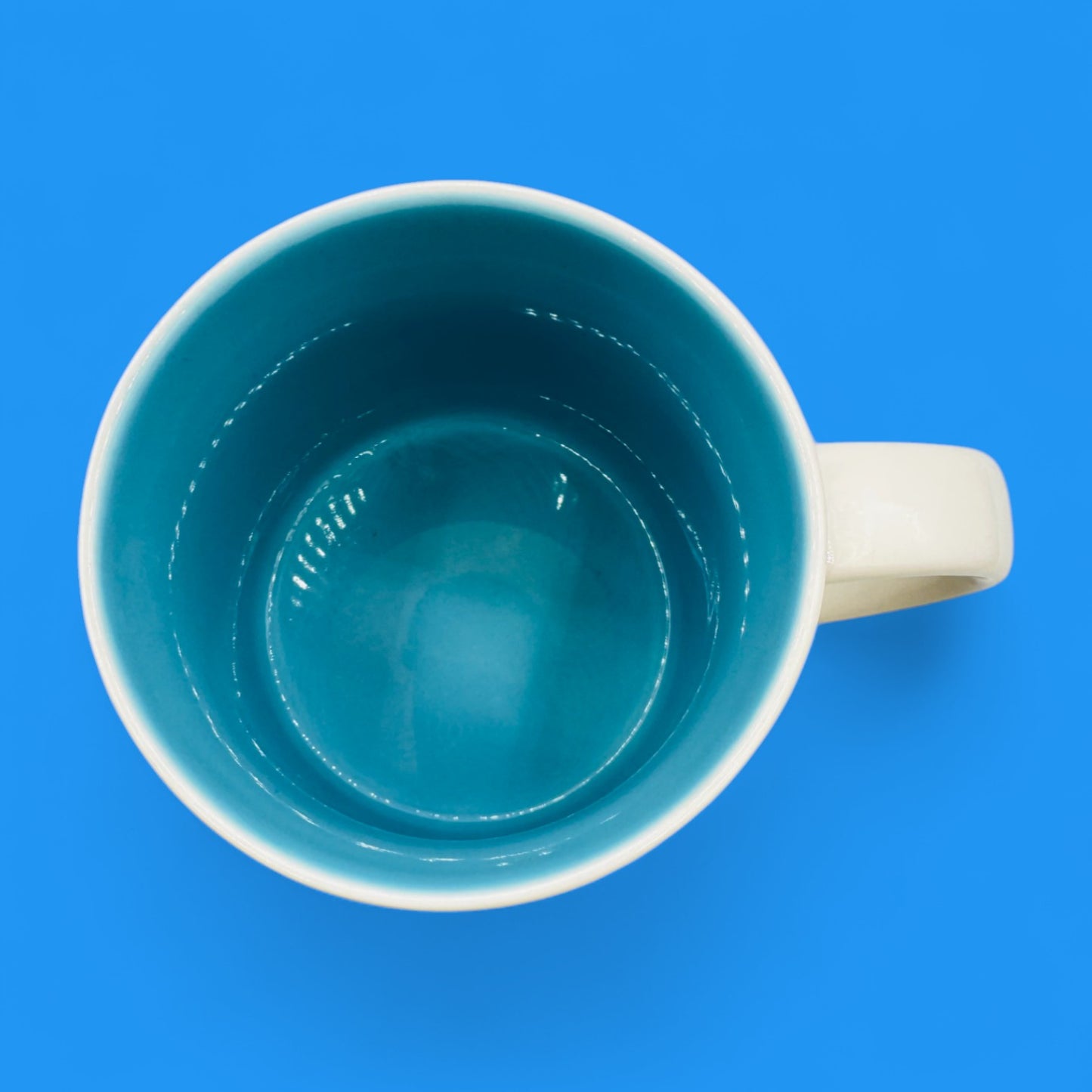 Starbucks Hawaii “You Are Here Collection” – Collectible Replacement Mug