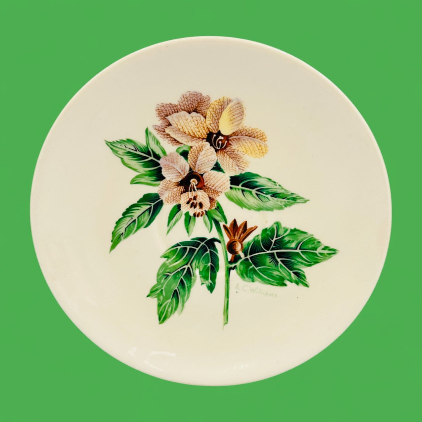Myott Staffordshire Teacup and Saucer Vintage Botanical Motif England