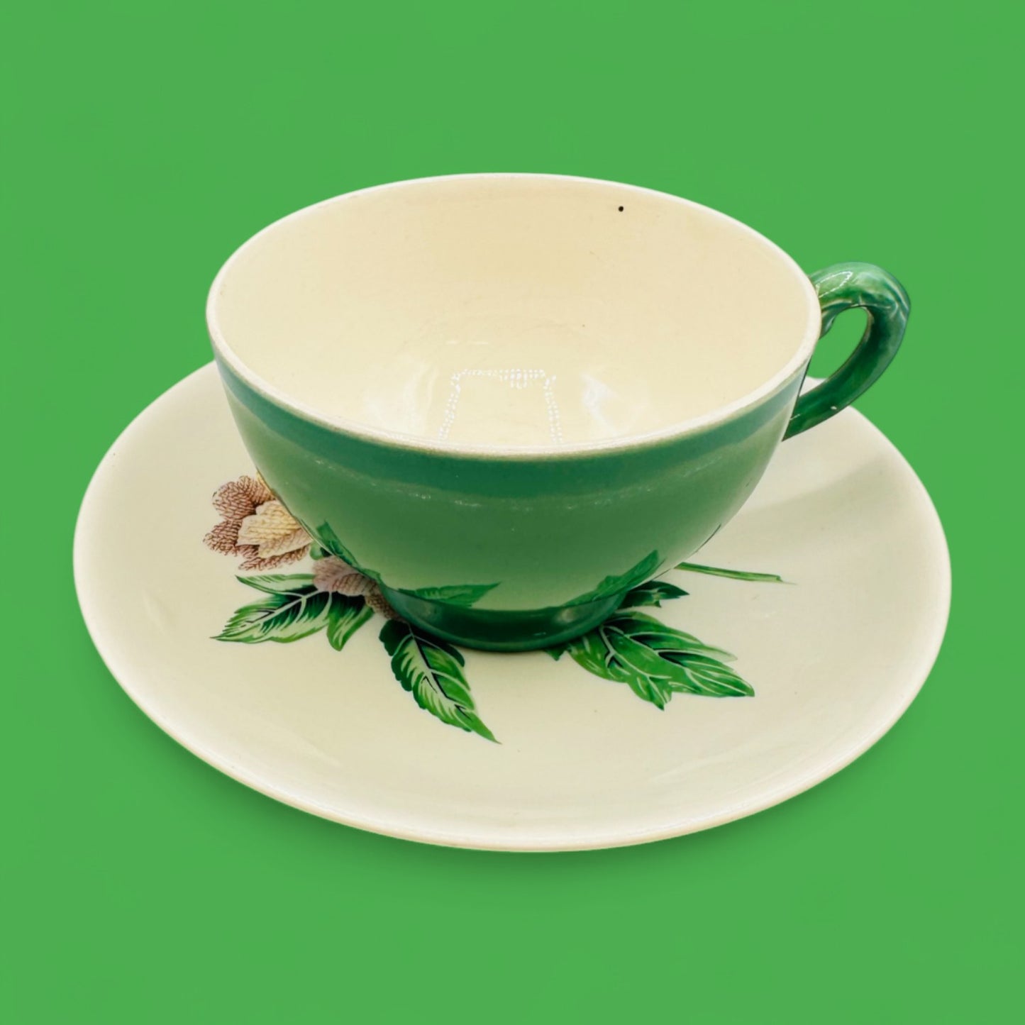 Myott Staffordshire Teacup and Saucer Vintage Botanical Motif England