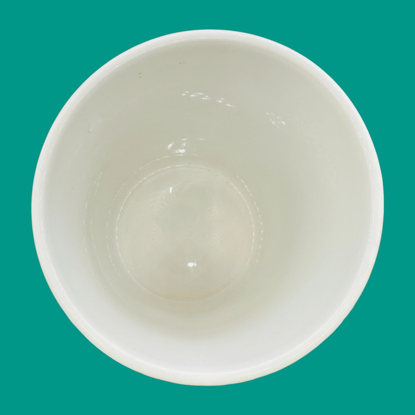 Starbucks Coffee Bean Canister Green & White – Ceramic Storage Jar