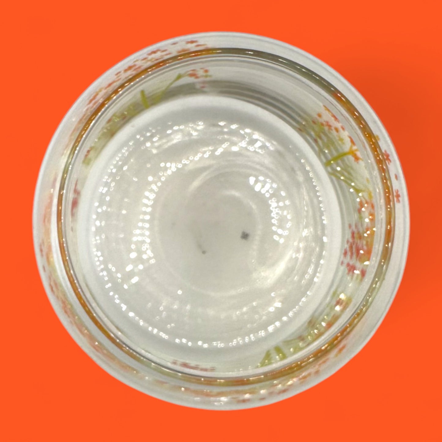 Anchor Hocking Vintage Glass Canister with Lid – Autumn Flowers Design 5.5”