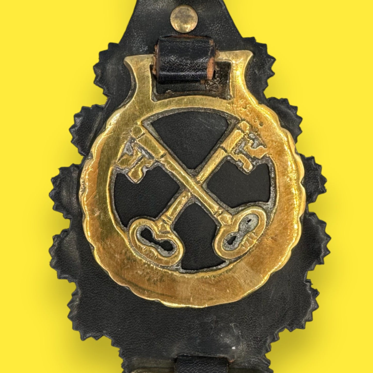 Vintage Horse Brass Medallions on a Leather Strap