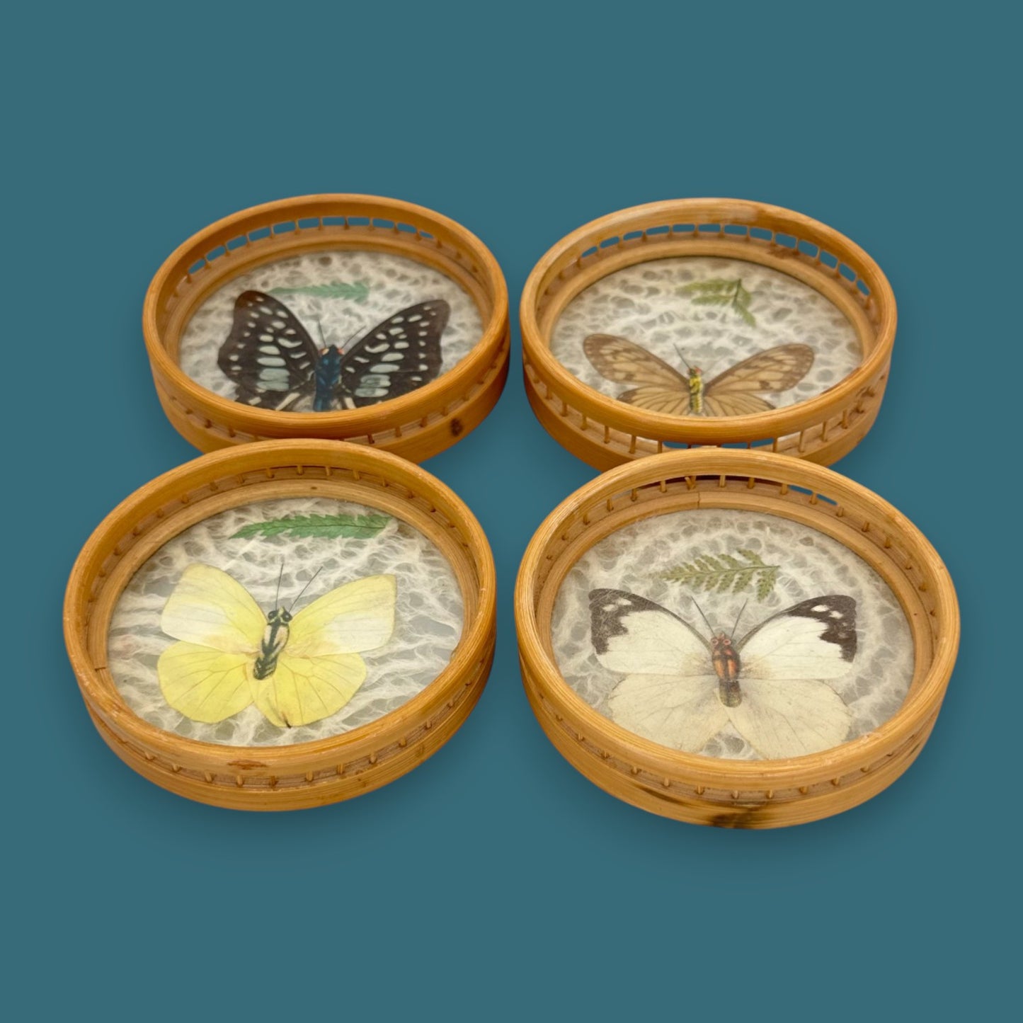 Vintage Butterfly Bamboo Coaster Set – Taxidermy Display (Lot of 4)