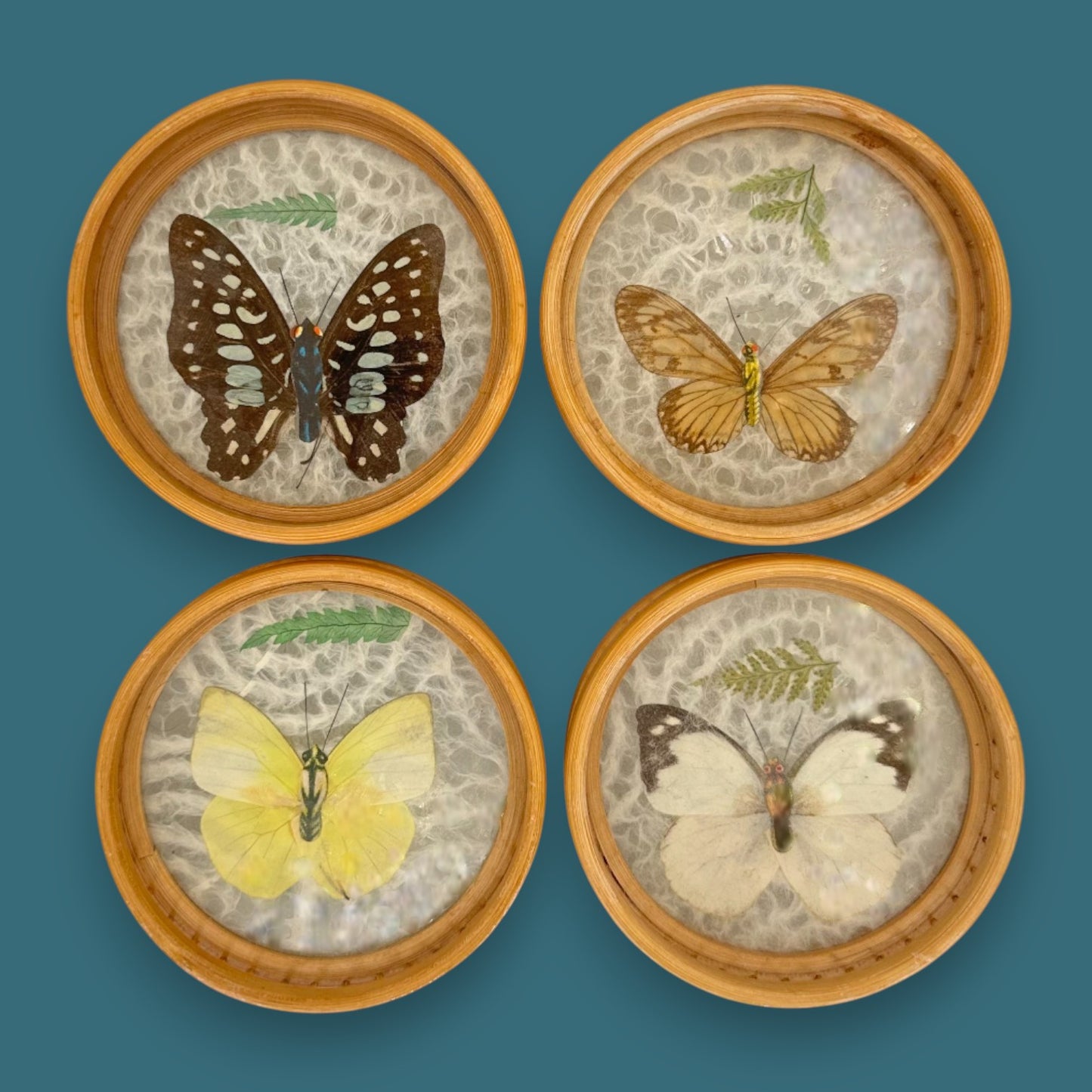 Vintage Butterfly Bamboo Coaster Set – Taxidermy Display (Lot of 4)