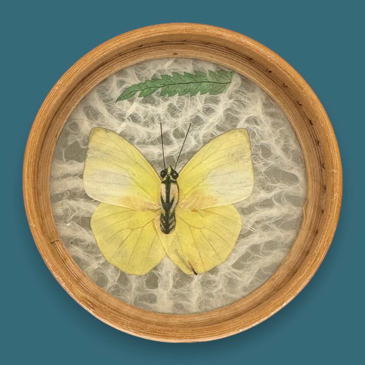 Vintage Butterfly Bamboo Coaster Set – Taxidermy Display (Lot of 4)