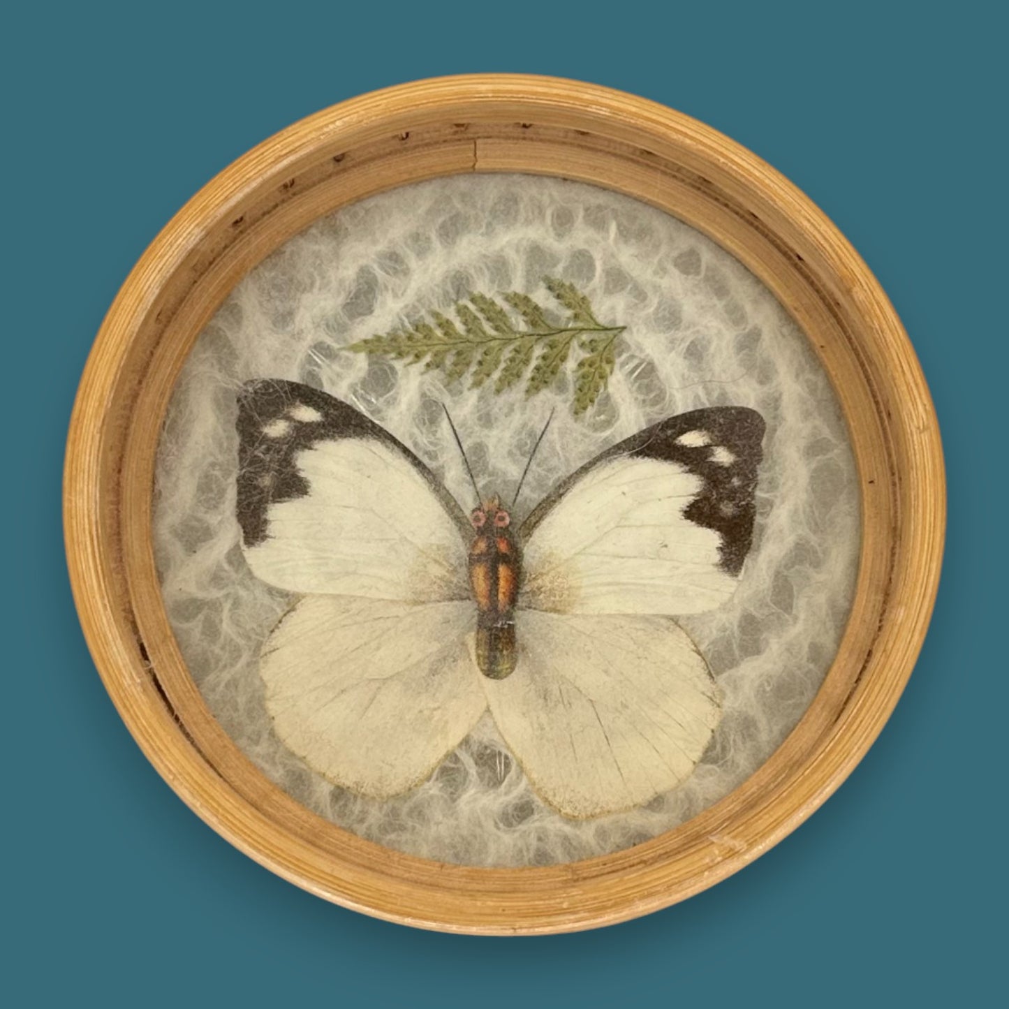 Vintage Butterfly Bamboo Coaster Set – Taxidermy Display (Lot of 4)