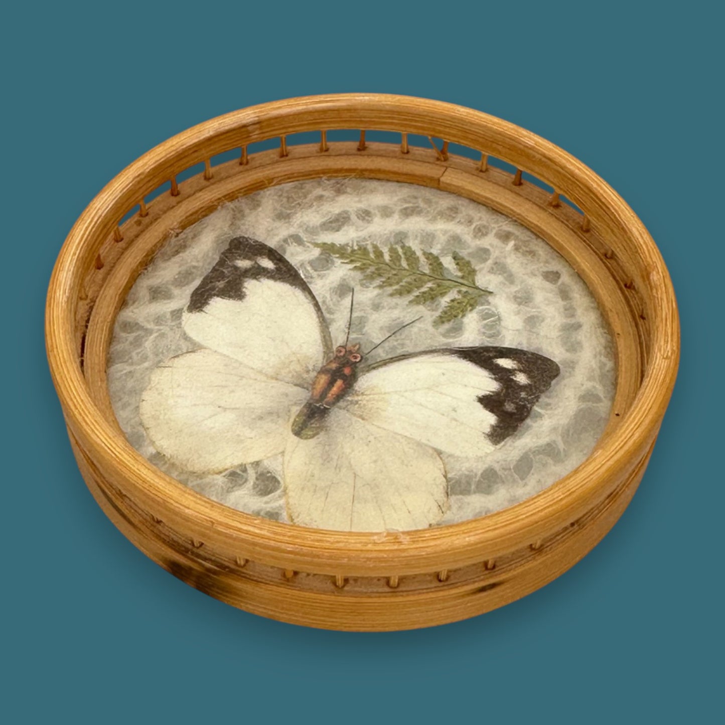 Vintage Butterfly Bamboo Coaster Set – Taxidermy Display (Lot of 4)