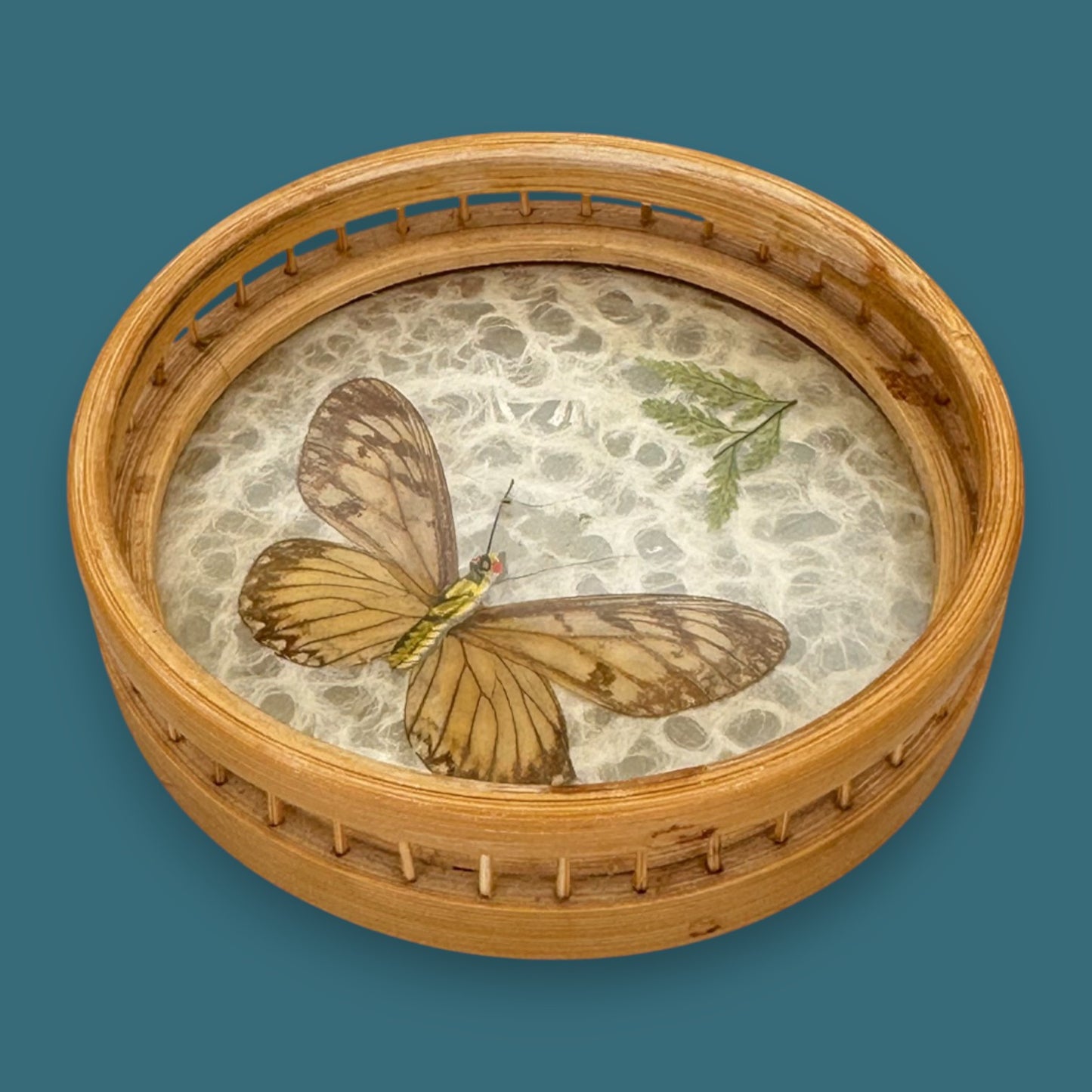 Vintage Butterfly Bamboo Coaster Set – Taxidermy Display (Lot of 4)