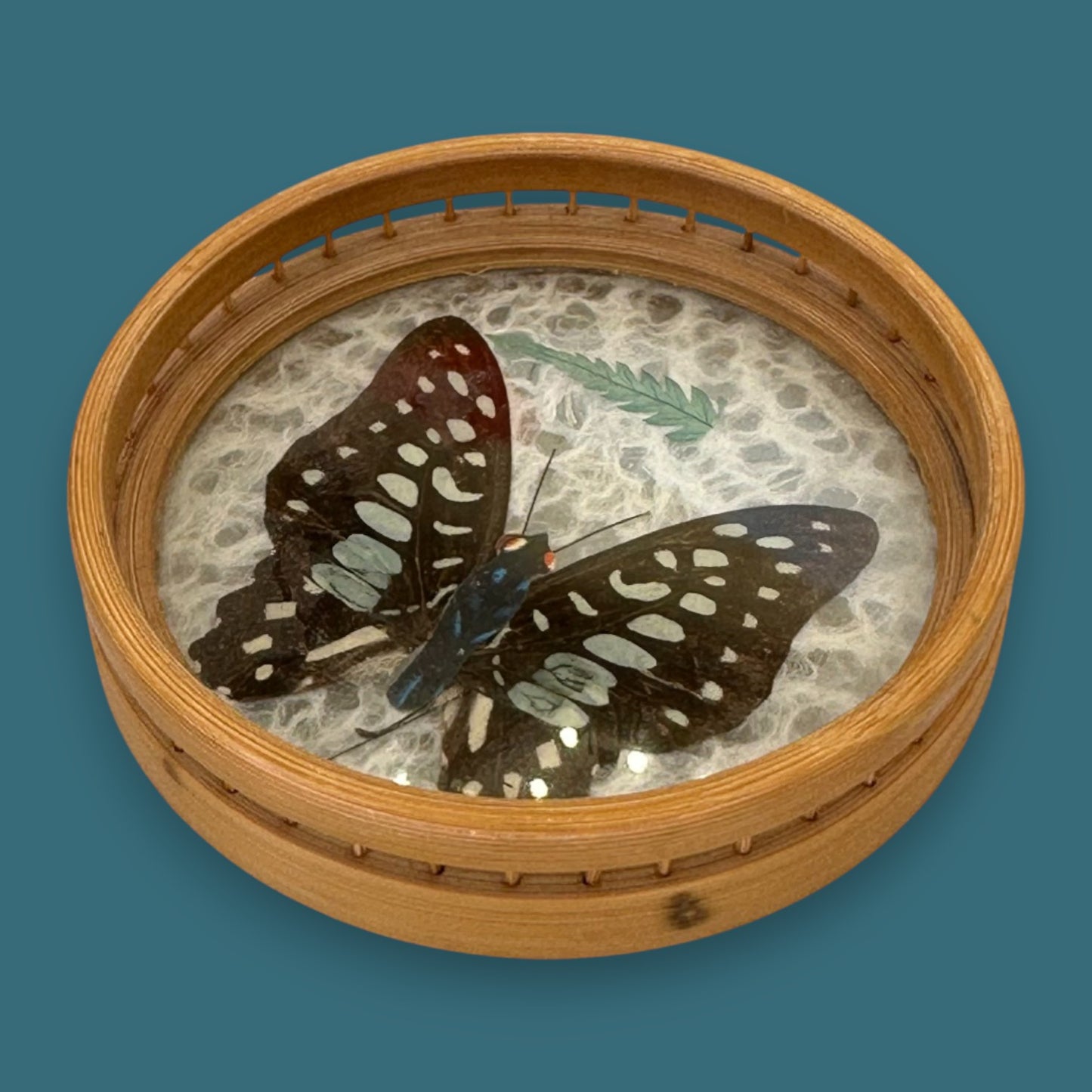 Vintage Butterfly Bamboo Coaster Set – Taxidermy Display (Lot of 4)