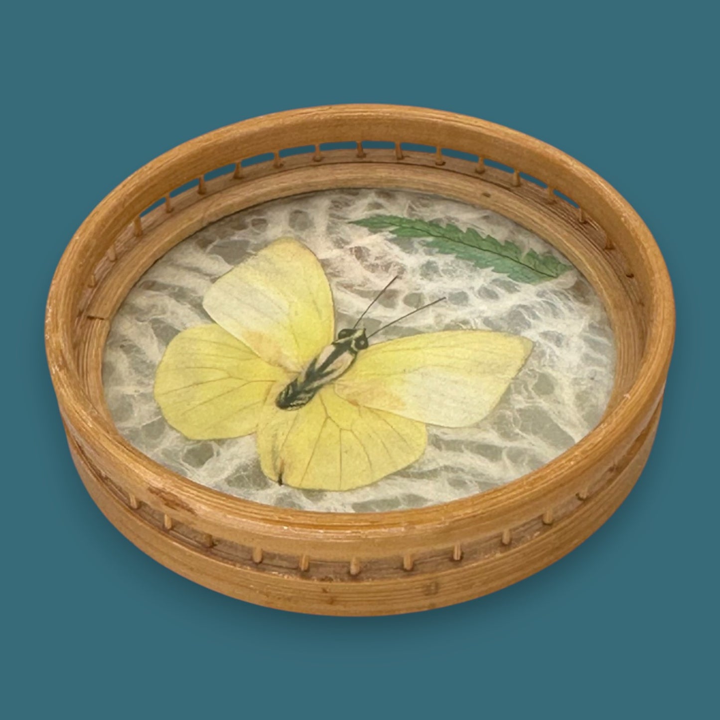 Vintage Butterfly Bamboo Coaster Set – Taxidermy Display (Lot of 4)