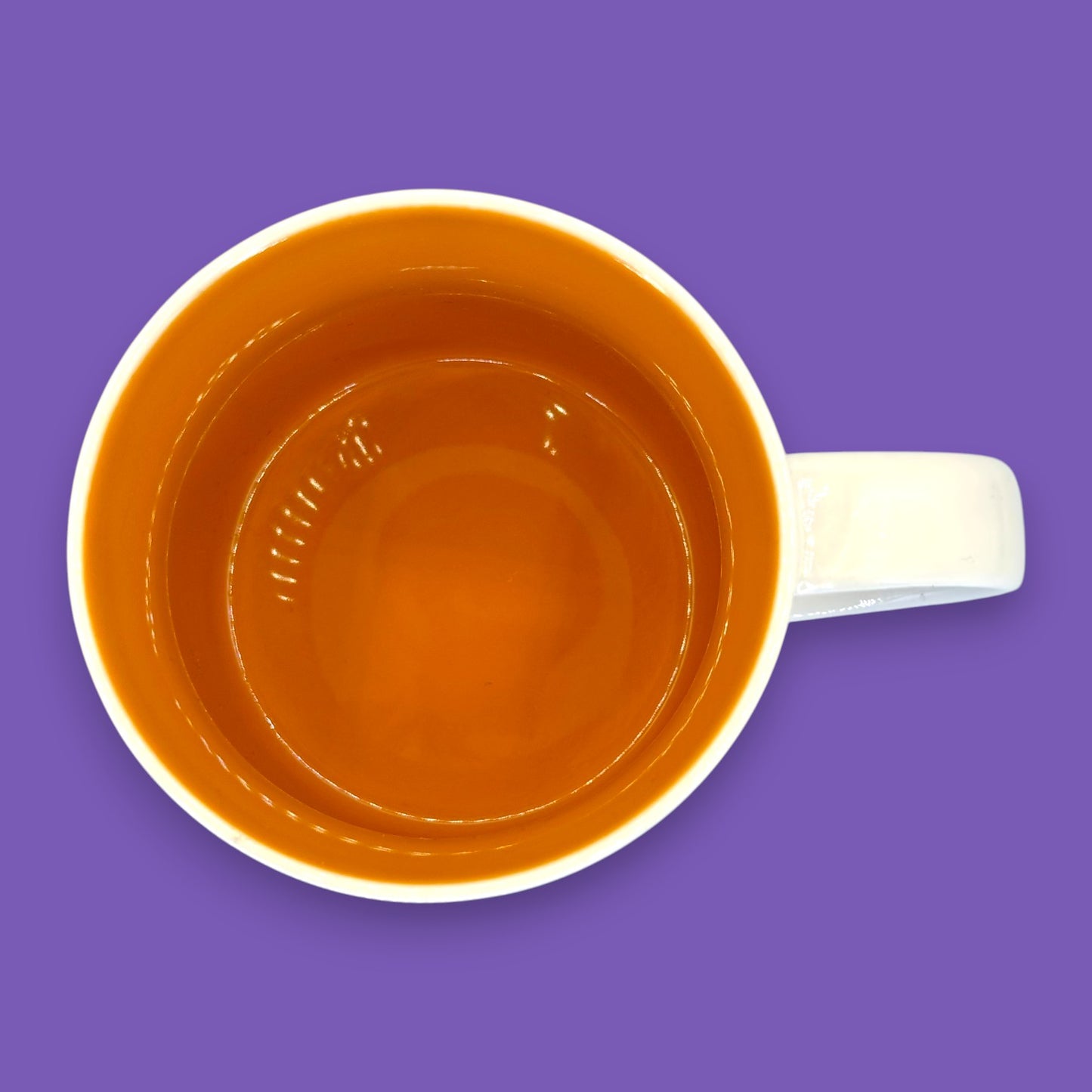 Starbucks Detroit “You Are Here Series” Replacement Mug – 14 fl oz / 414 mL