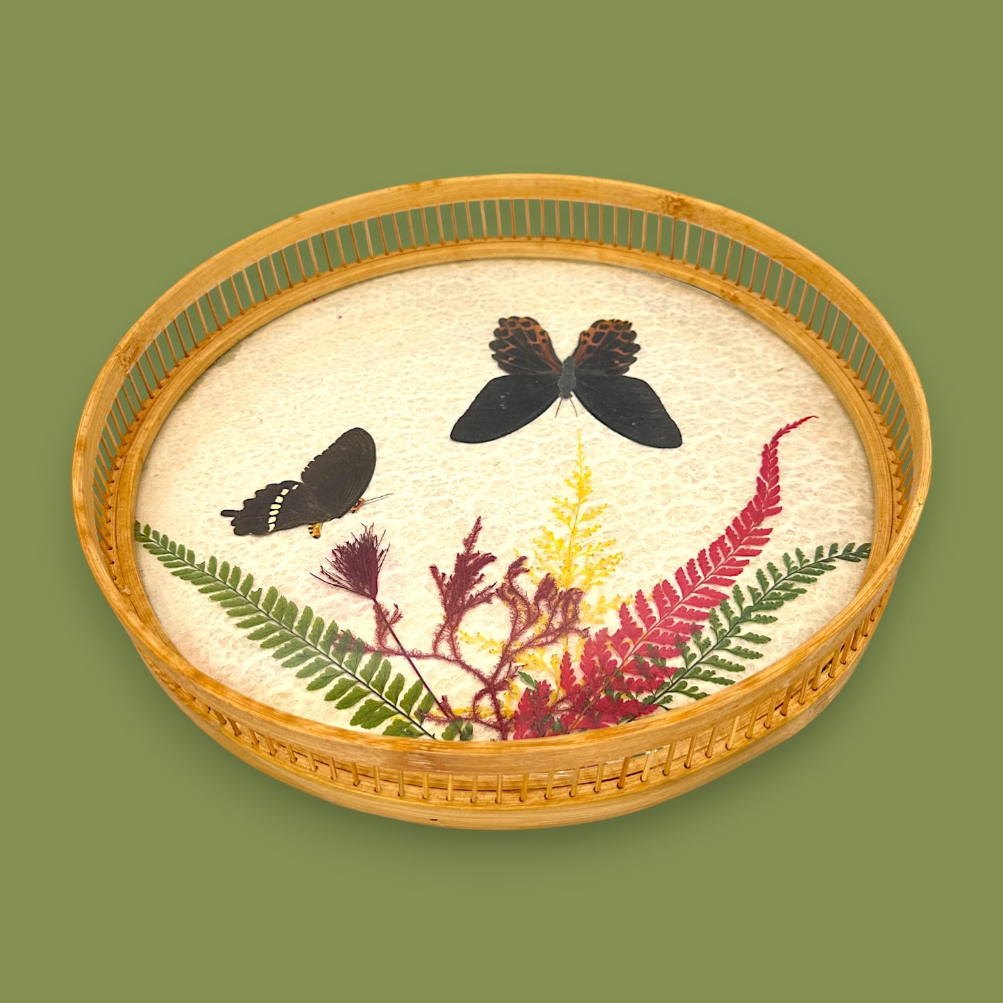 Vintage 1970s Real Butterfly Bamboo Serving Tray & 6 Coasters – Nature’s Art Preserved