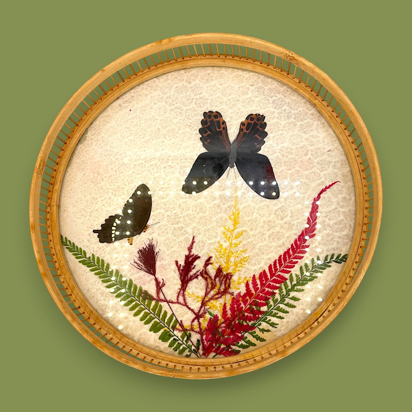 Vintage 1970s Real Butterfly Bamboo Serving Tray & 6 Coasters – Nature’s Art Preserved