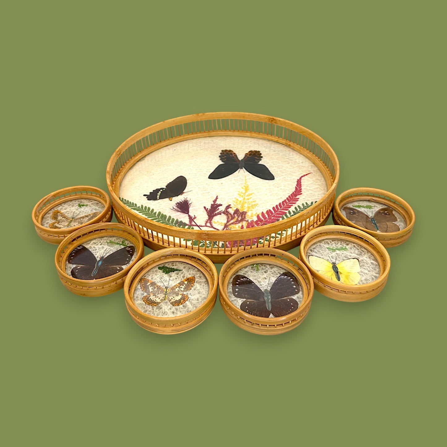 Vintage 1970s Real Butterfly Bamboo Serving Tray & 6 Coasters – Nature’s Art Preserved
