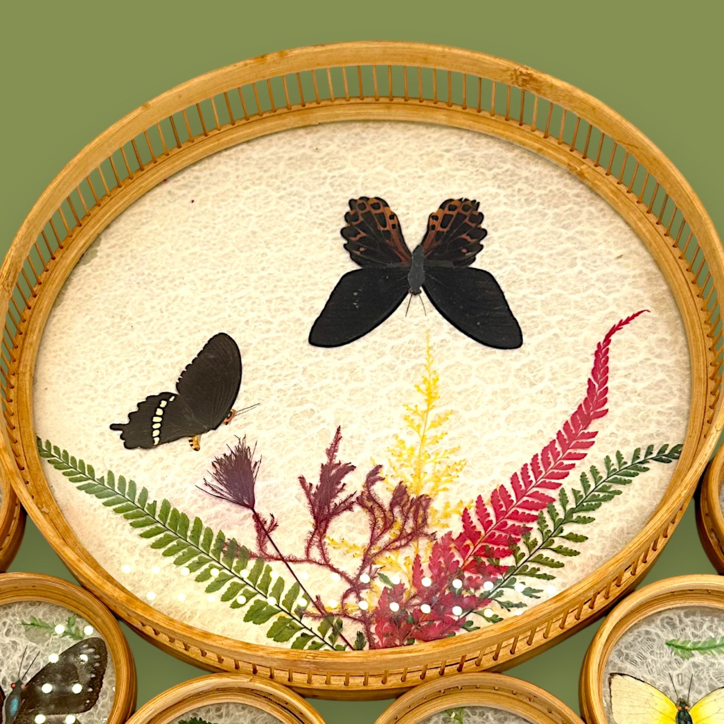 Vintage 1970s Real Butterfly Bamboo Serving Tray & 6 Coasters – Nature’s Art Preserved