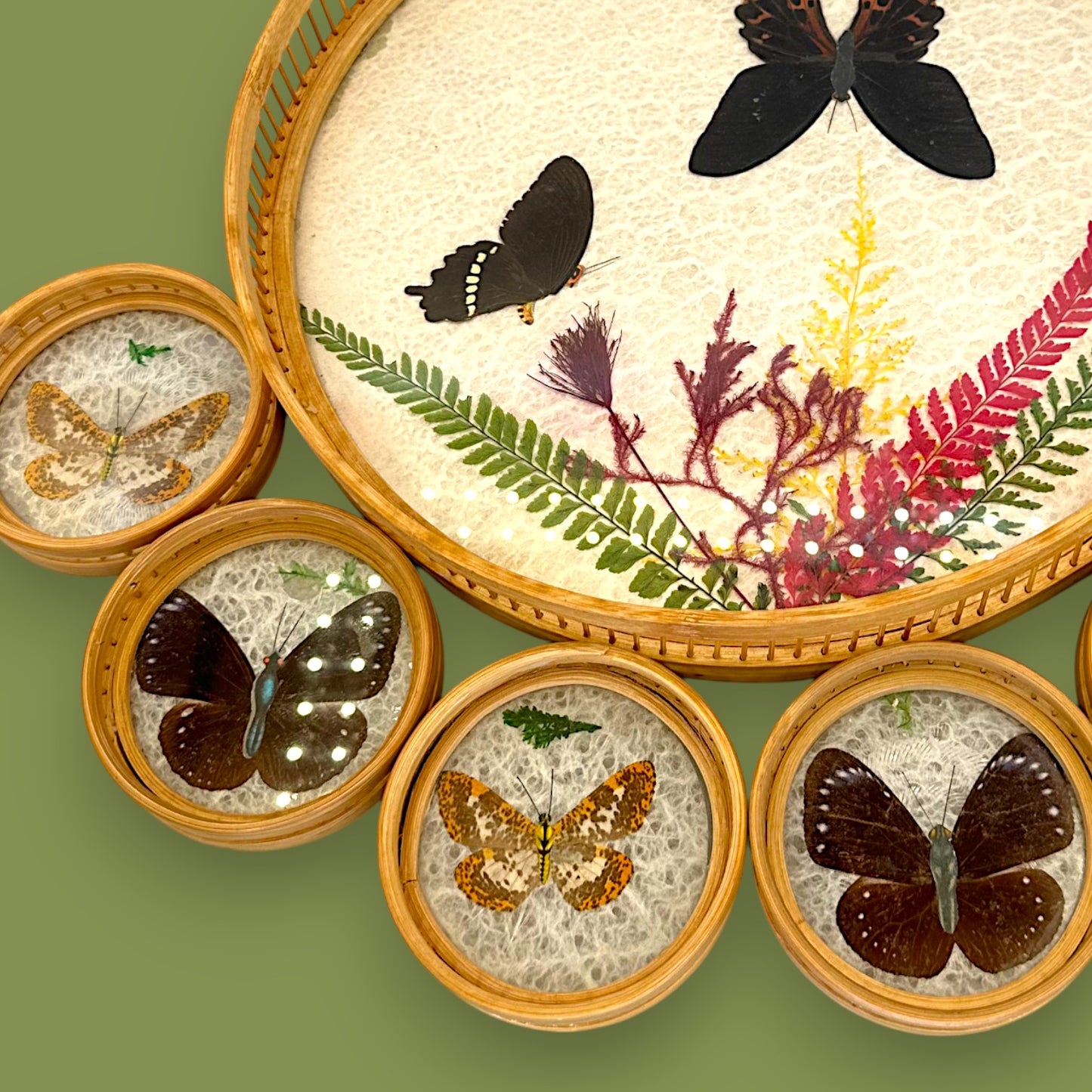 Vintage 1970s Real Butterfly Bamboo Serving Tray & 6 Coasters – Nature’s Art Preserved