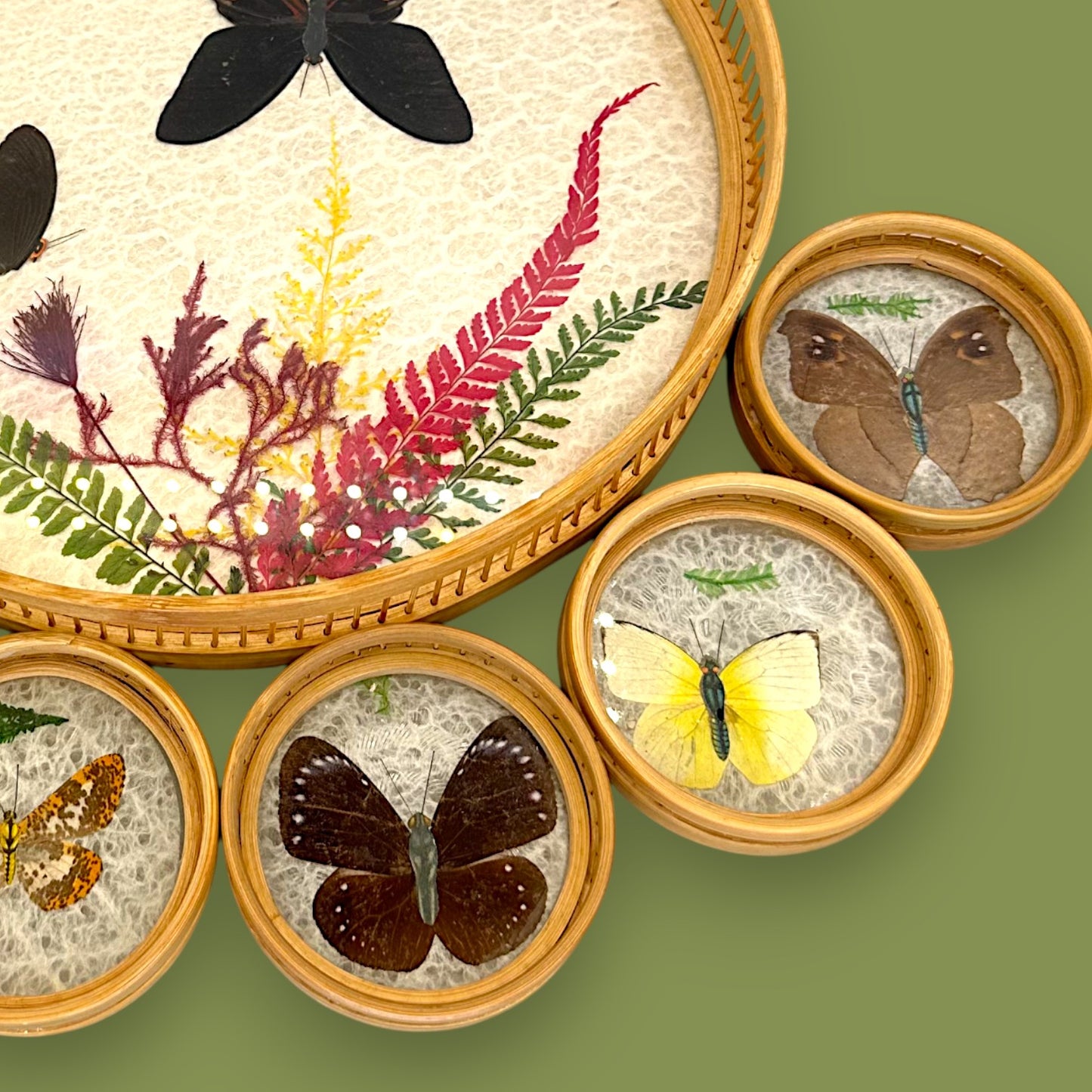 Vintage 1970s Real Butterfly Bamboo Serving Tray & 6 Coasters – Nature’s Art Preserved