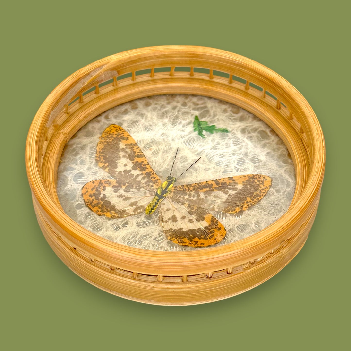 Vintage 1970s Real Butterfly Bamboo Serving Tray & 6 Coasters – Nature’s Art Preserved