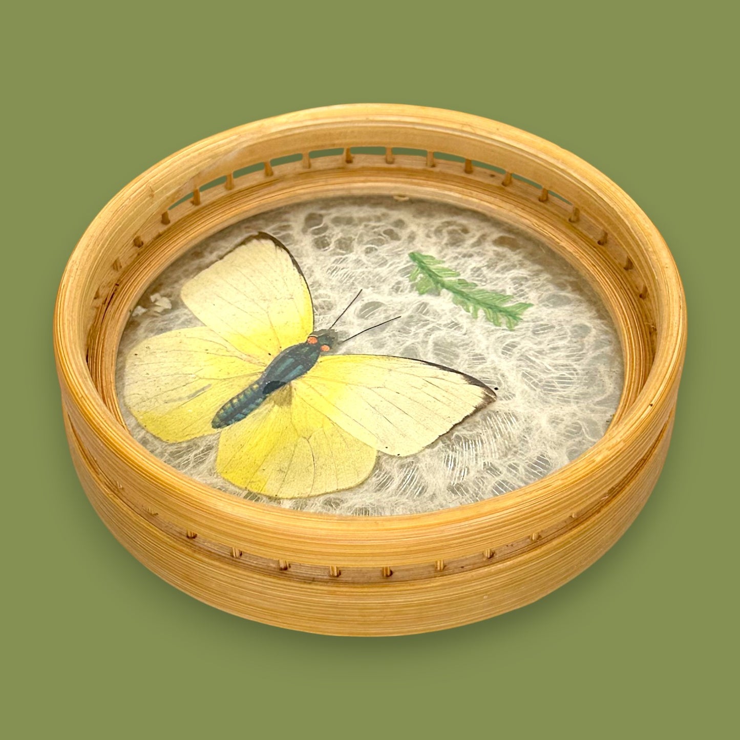 Vintage 1970s Real Butterfly Bamboo Serving Tray & 6 Coasters – Nature’s Art Preserved