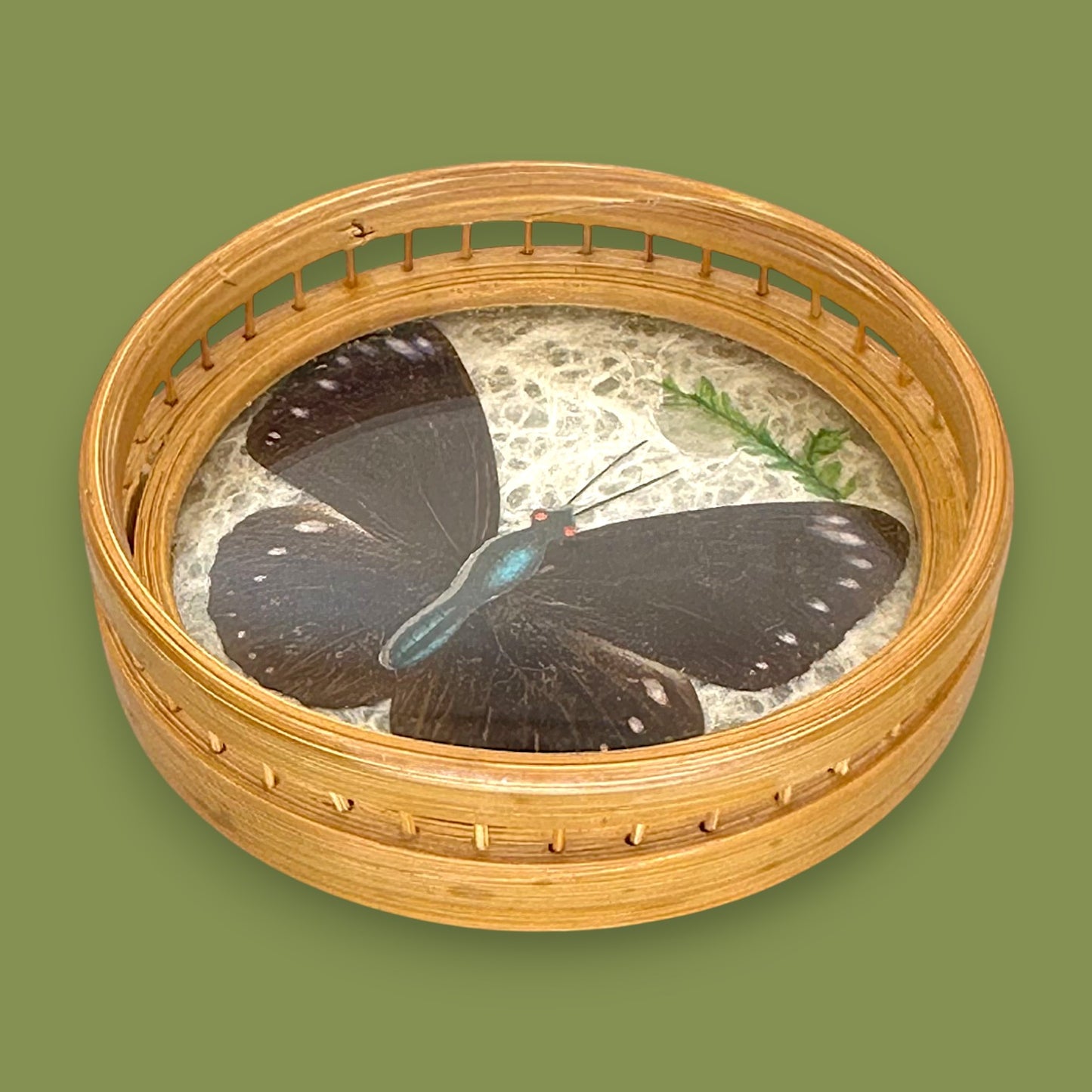 Vintage 1970s Real Butterfly Bamboo Serving Tray & 6 Coasters – Nature’s Art Preserved