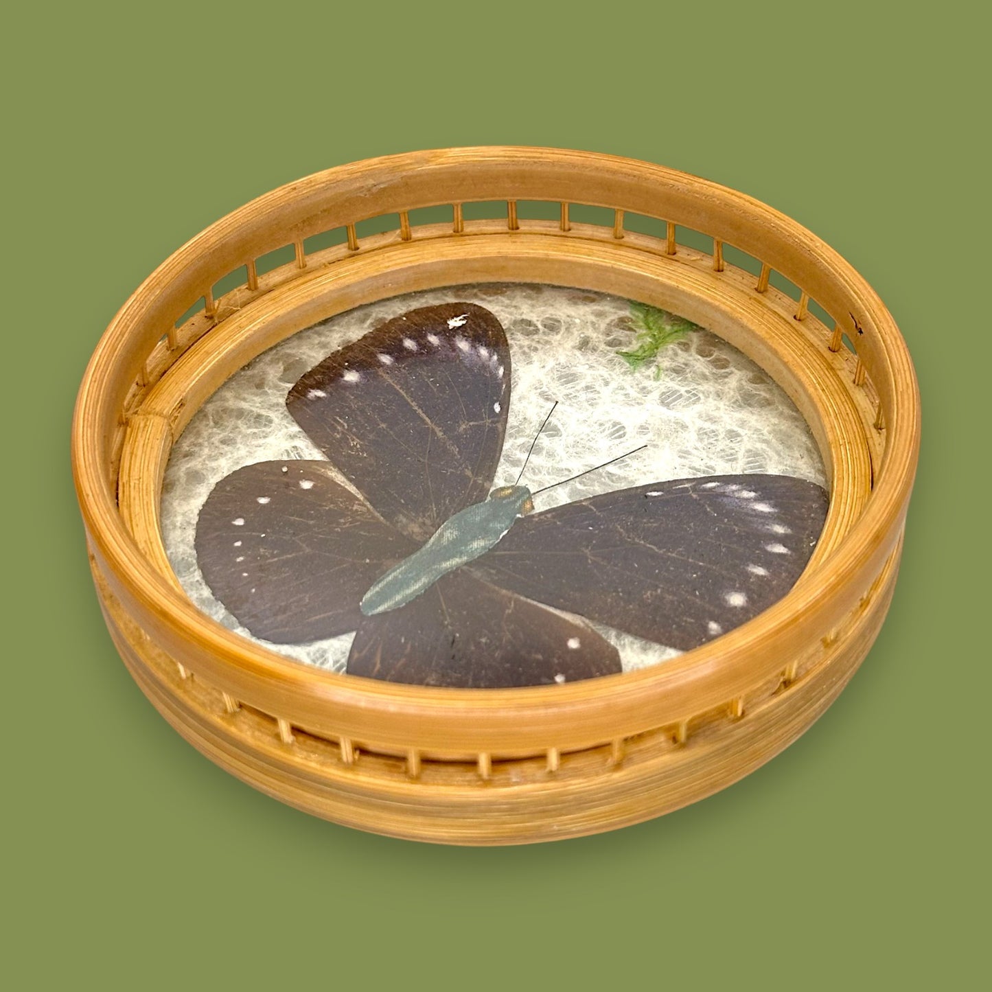 Vintage 1970s Real Butterfly Bamboo Serving Tray & 6 Coasters – Nature’s Art Preserved