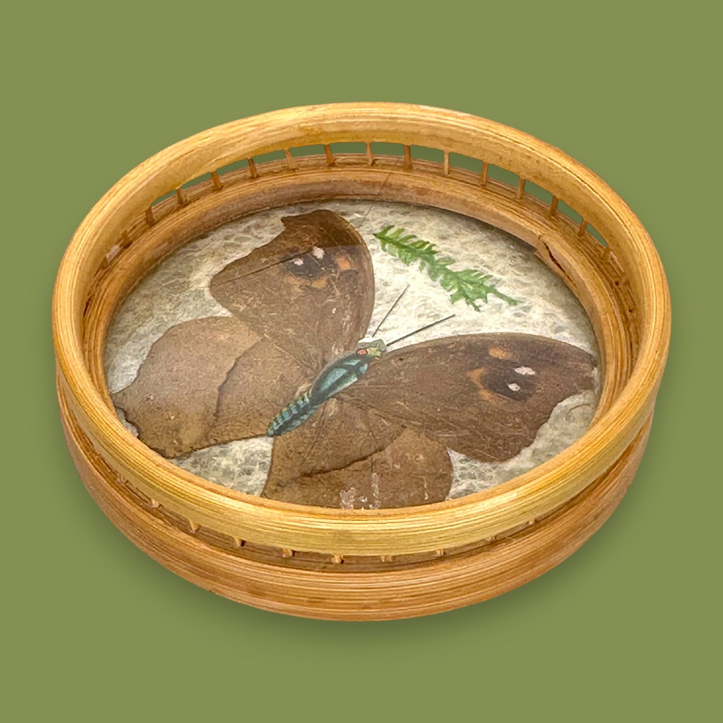 Vintage 1970s Real Butterfly Bamboo Serving Tray & 6 Coasters – Nature’s Art Preserved