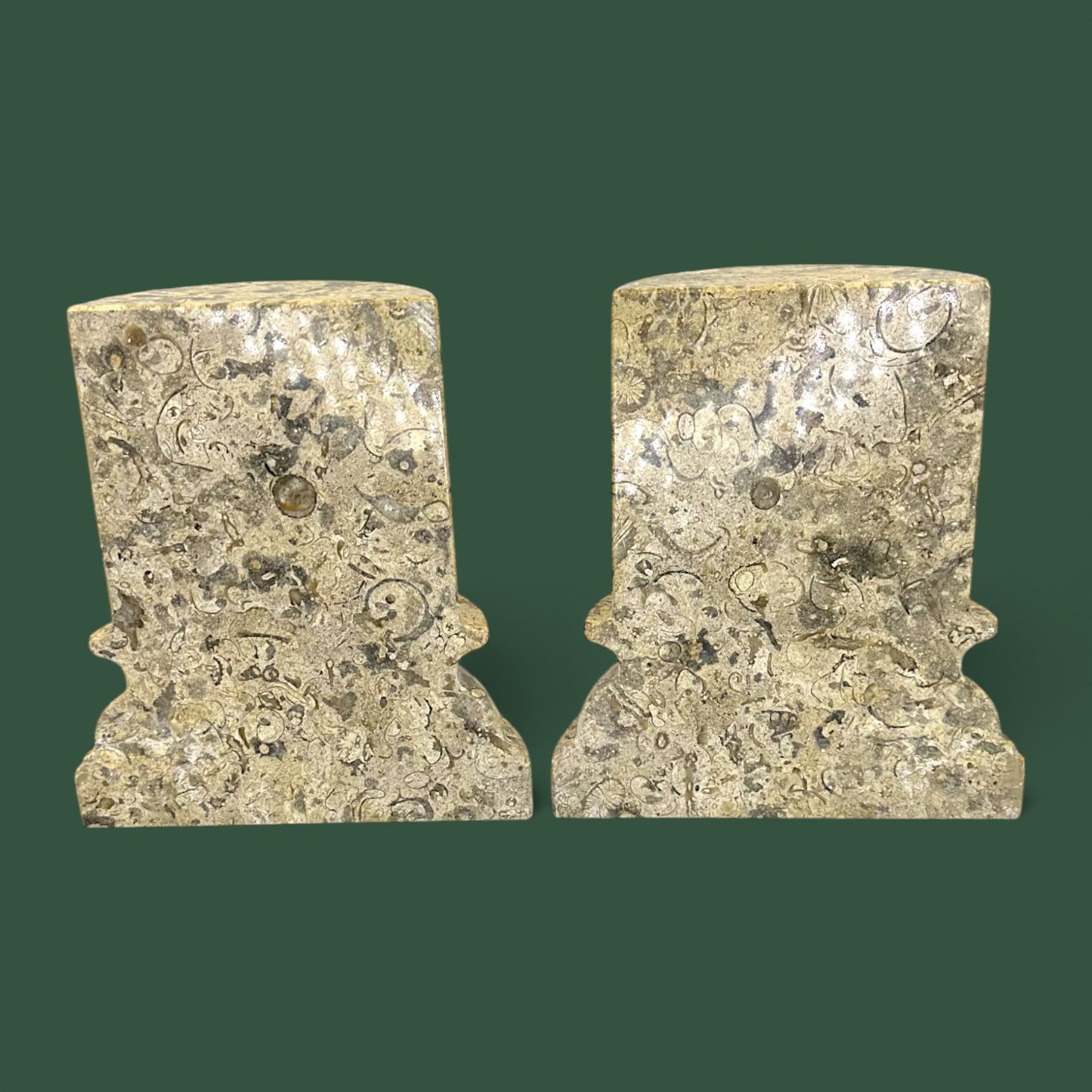 Polished Coquina Stone Fossil Bookends | Carved Natural Shell Display