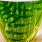 2006 Starbucks Tropical Green Fern Vegetation Mug