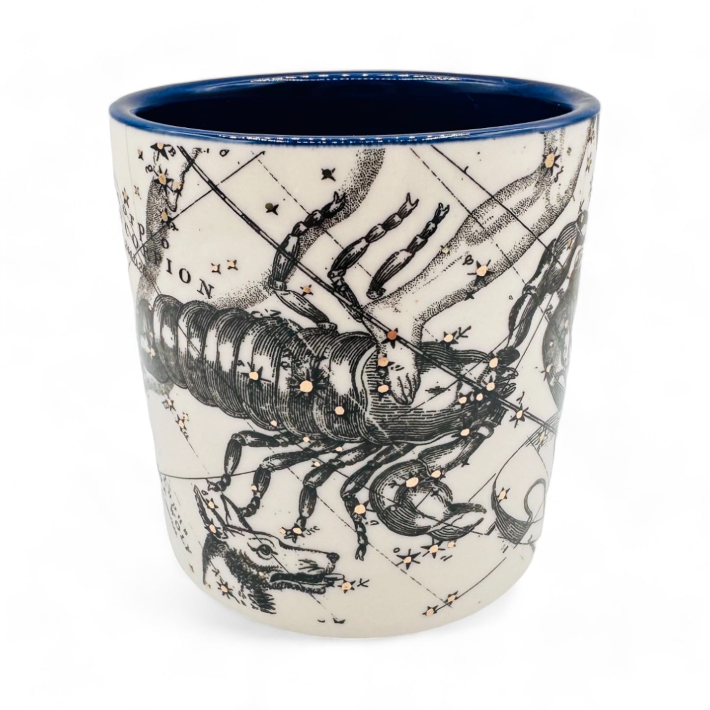 Celestial Scorpio Constellations Coffee Mug by Anthropologie