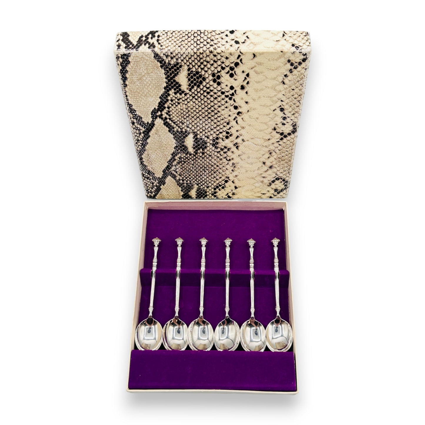 Crown Insignia Silver Plated Teaspoon Set in Elegant Snakeskin Style Box