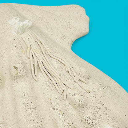 Large Ceramic Scallop Shell Dish - Coastal Decor - 11.4" showcases a stunning design with a creamy white finish.