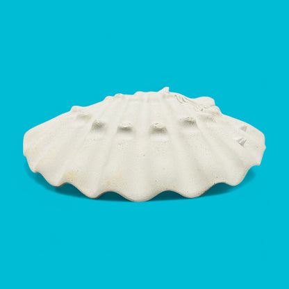 Large Ceramic Scallop Shell Dish - Coastal Decor - 11.4" adds seaside charm with creamy white and delicate accents.