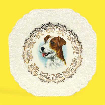 Vintage Dog Breed Plates featuring Lord Nelson England designs of Poodle, Schnauzer, Jack Russel, and Springer Spaniel.