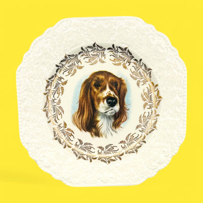 Vintage Dog Breed Plates featuring Lord Nelson England Poodle, Schnauzer, Jack Russel, Springer Spaniel designs.