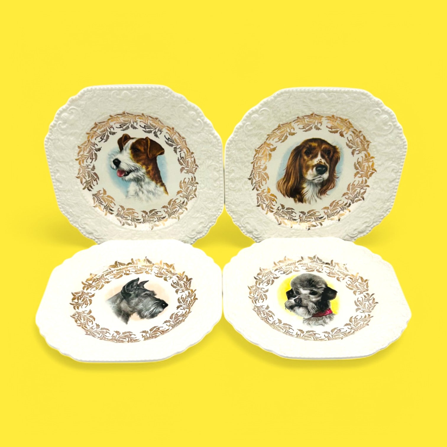 Vintage Dog Breed Plates featuring Poodle, Schnauzer, Jack Russel, and Springer Spaniel by Lord Nelson England.