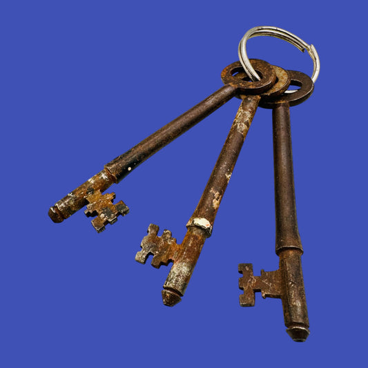 Antique Skeleton Key Ring With Three Keys – 1800s Oddity
